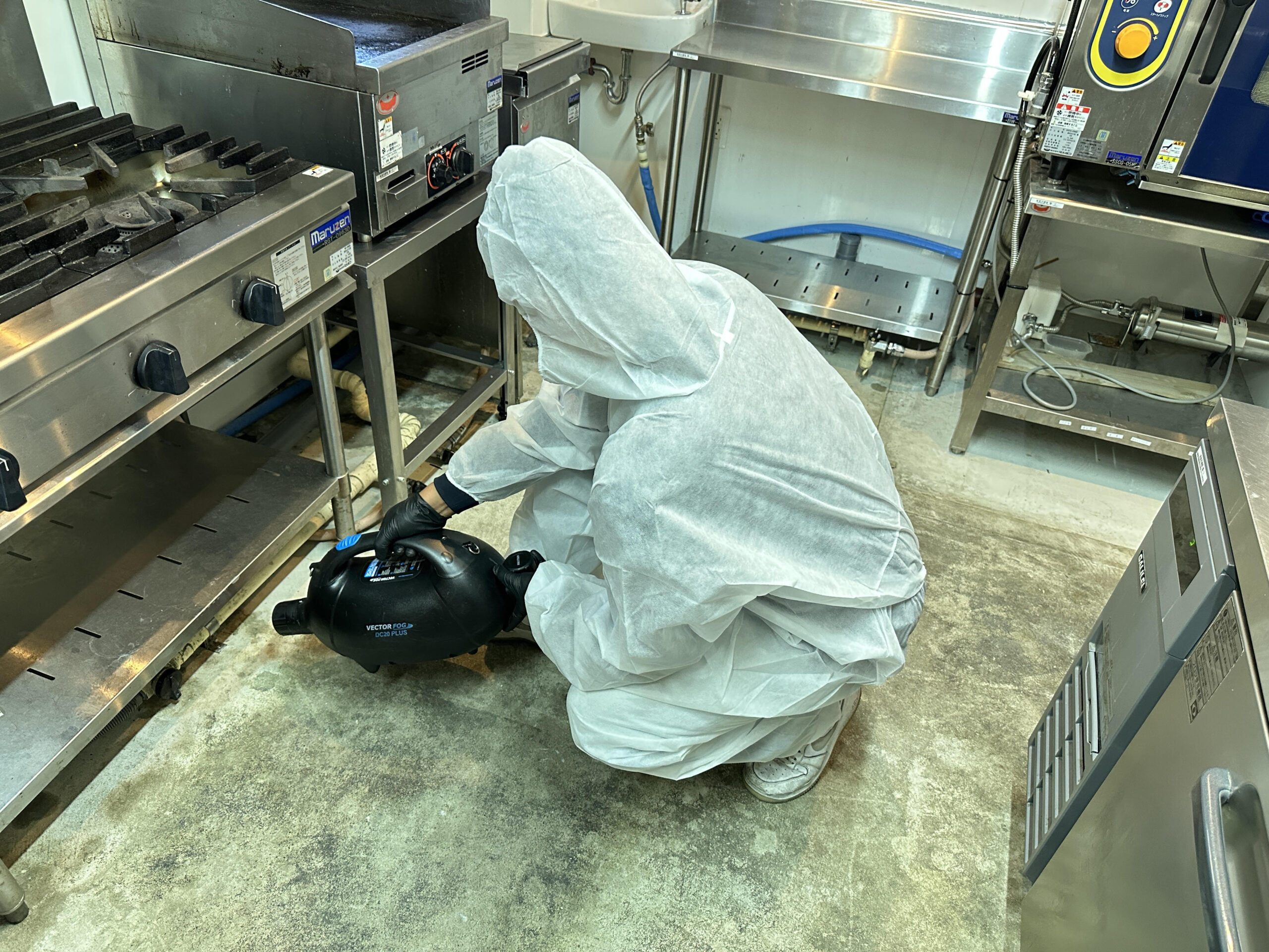 害虫駆除（薬剤散布）